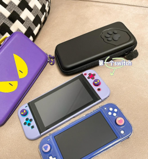 女生新手Switch选购攻略 轻便机型高颜值配色推荐 女生新手Switch选购攻略 轻便机型高颜值配色推荐